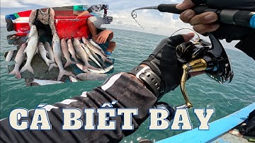 Câu Jigging đụng độ bầy cá Măng ( Lady Fish) bay như Chim, Siêu nhiều 1 đường câu dính 1 con.