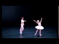 Yuan Yuan Tan & Friedemann Vogel Swan Lake Pas de Deux の動画、YouTube動画。