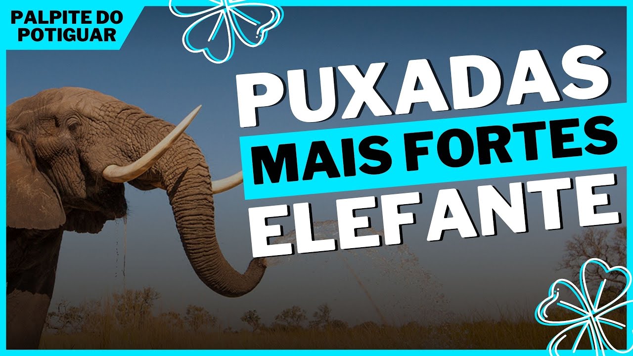 Puxada do Elefante – Jogo do Bicho