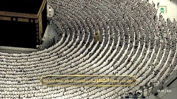 سورة فاطر 1-5 - صلاة المغرب- للشيخ الوليد الشمسان - الأربعاء 7 محرم 1447