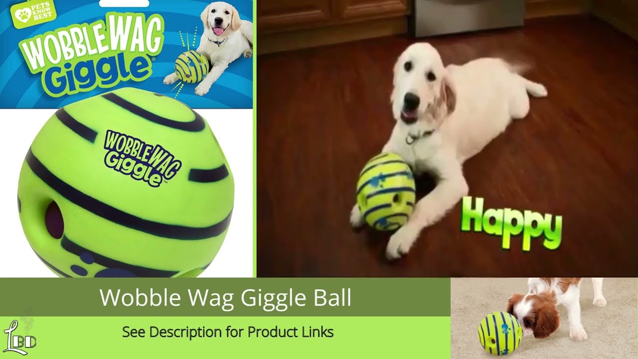 Best Dog Toys to Keep Them Entertained YouTube