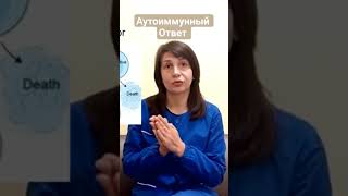аутоиммунный ответ #нобелевскаяпремия #иммунитет #shorts