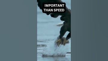 #sigmarule DIRECTION IS MORE IMPORTANT THAN SPEED #motivation #motivation