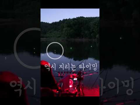 <strong>낚시꾼</strong> 공감 100프로,  너 붕어 아니지?