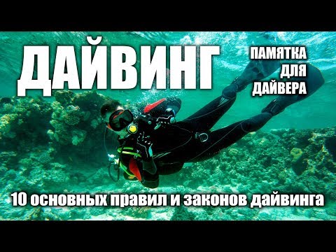 10 основных правил дайвинга