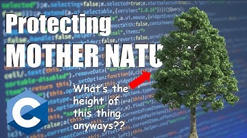 C   Tree Height and Allocation