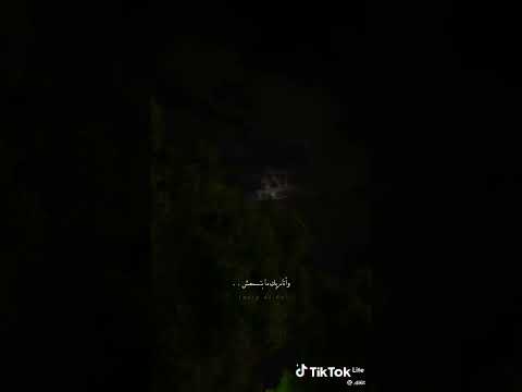 انا علي قد مابسكوت واهدي قلبتي صعبه وكلمتي واحده حالات واتس