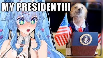 THE BEST PET VIDEOS OF THE DECADE!!! | Mifuyu Reacts to Daily Dose of Internet