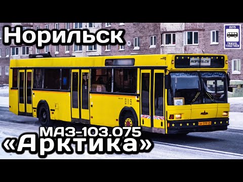 🇷🇺Автобус МАЗ-103.075 «Арктика». Норильск. «Транспорт в России» | Bus MAZ-103.075 «Arctic».