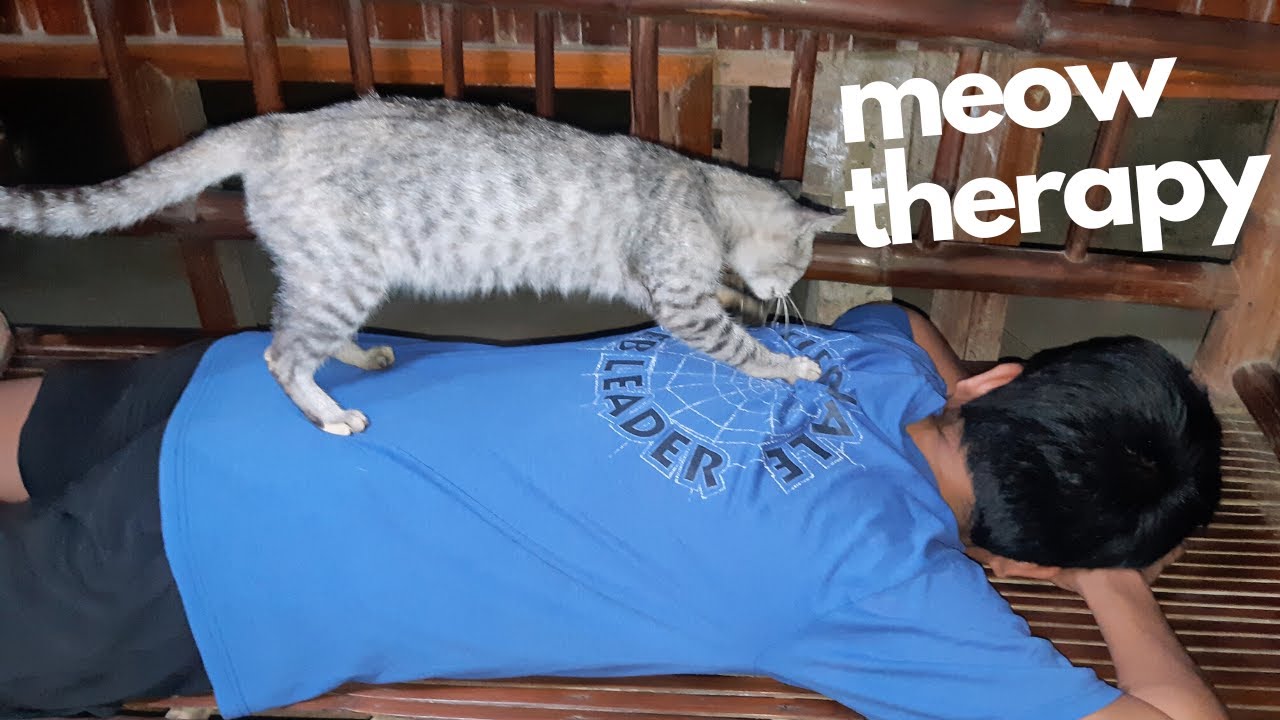 Cute Funny Cat Massage Pyurikit, my one eye cat Cat Spakol YouTube