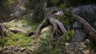 Famous Book Of The Dead: Environment (Free asset) Profile