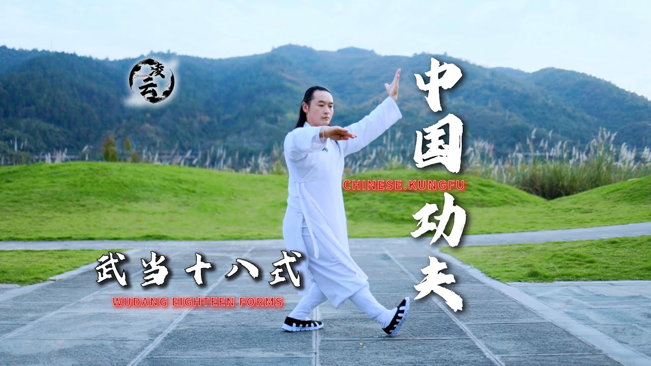 武当十八式的精髓被凌云拿捏了，评论区说说你最爱的一招Tell us your favorite move from the Wudang Eighteen Forms in the comments!