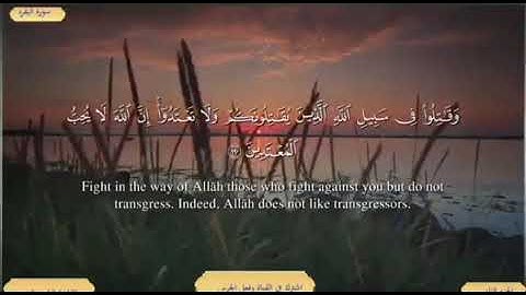 سورة البقرة من الاية ( 189 ) الى الاية ( 195 ) مكررة للحفظ بصوت ( ياسر الدوسري )