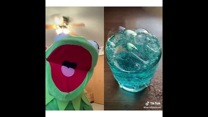 Funny Kermit the frog videos of 2020 (part 1)