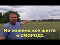 Сабарівська біда!