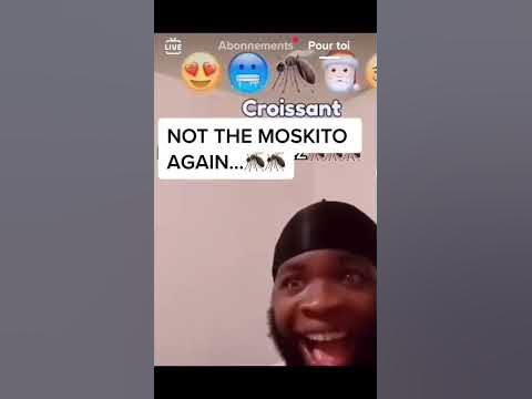 No not the mosquito again!! - YouTube