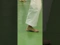 Хирокадзу Канадзава в 77 лет. Величайший мастер каратэ. #shorts #timeprotv