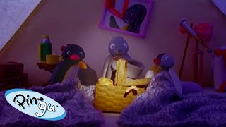 Pingu Goes Camping  | Pingu  Official Channel | Cartoons For Kids