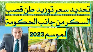 سعر توريد طن قصب السكر الجديد للحكومة موسم 2023