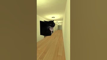 Maxwell Cat, Banana And Baldi Nextbot Gmod