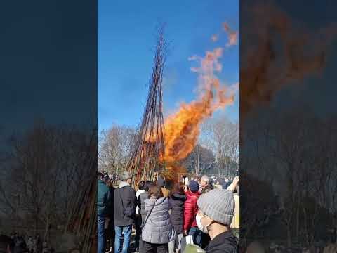 【Kobe】Japanese Culture Burning New Year’s Decorations - Municipal Arboretum