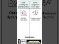 Review and Comparison of 10 Most Popular Machine Learning Models