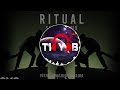 Tiesto Jonas Blue Rita Ora Ritual Alan Walker Megamix Mashup By T10YOB MASHUPS