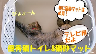 ☆テレビ用☆  オススメ。大きい【猫トイレ】かじり癖のある猫にオススメ【猫砂マット】で猫砂の散らかり軽減！今回ももちゃが頑張ります。【まいにちねこまつり】No.36