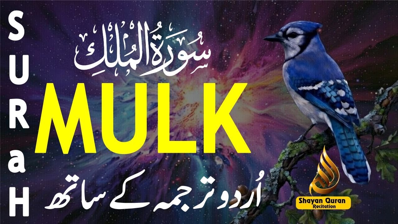Сура Аль-Мульк | Успокаивающее сердце чтение для защиты, покоя и ночи | Кари Мансур