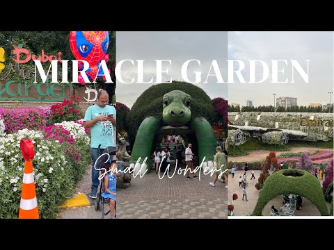 Miracle Garden | Dubai | Beautifully Maintained