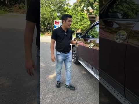 Xe đẳng cấp