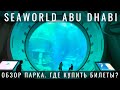 SeaWorld Abu Dhabi. Морской Мир Абу Даби. Все об уникальном тематическом парке | Туристино Дубай