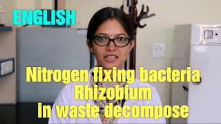 Rhizobium bacteria in waste decompose solution WDC