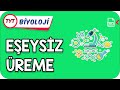 Eşeysiz Üreme | TYT Hızlanış Kampı    #Kamp2021