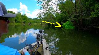 I Watched a Creek Monster Swim into a Bush... And Then This Happened!