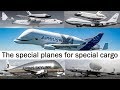 From Pregnant Guppy to Beluga XL. The special planes for special cargo