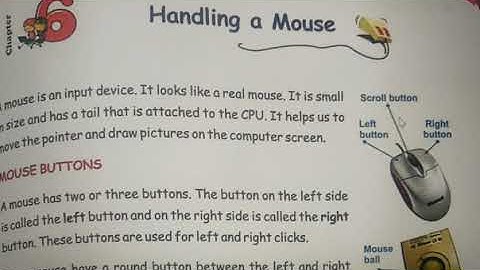 Handling a Mouse - class 2nd chapter