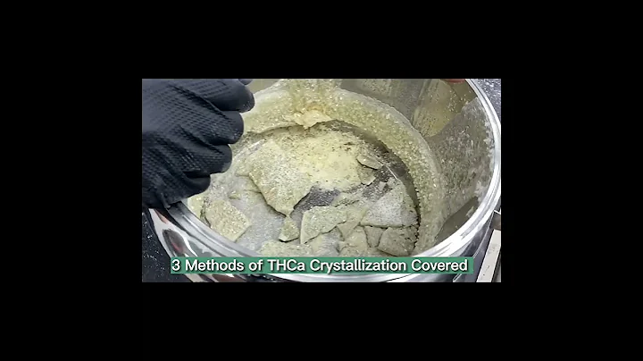 Ready to Craft THCA Diamonds? 💎🙌🏻