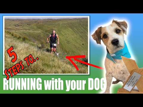 Video: 5 Hundsporter Du och din pojk behöver försöka
