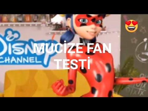 mucize uğur böceği ile kara kedi fan testi