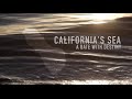 Salton Sea Documentary 2015: California's Sea: A Date With Destiny