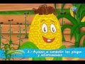 Todas las Manos a la Siembra Cultivos Asociados