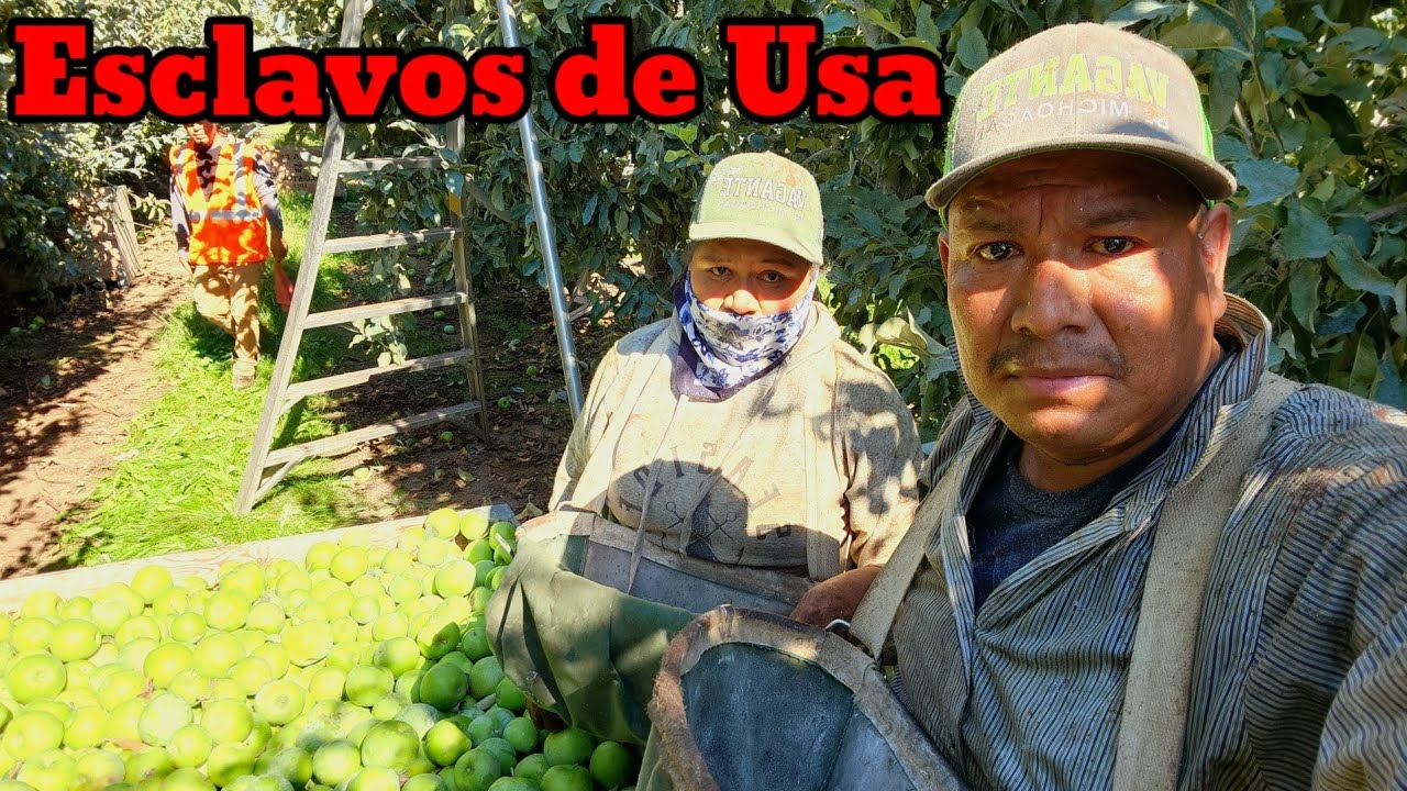 NO Estamos Sacando ni para tragar muy Mala línea nos toco miren nomás