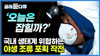 눈치 빠른 철새들과 피 말리는 한판 승부! 국내 생태계 위협하는 야생 조류 포획 작전┃한국 농가 방역을 책임지는 가축 방역사┃조류 인플루엔자┃극한직업┃#골라듄다큐