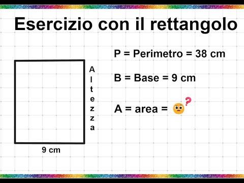 Esercizio con il rettangolo: area