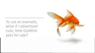 Amniotic Stem Cell Therapy Review