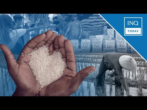 DA-BPI says PH looks ready to lift rice price cap, but Marcos has last say | INQToday