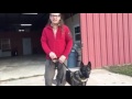K9 Kyra | Explosive Detection in Barn | Solid K9 Training Dog Training K9 Kyra | Explosive Detection in Barn | Solid K9 Training Dog Training