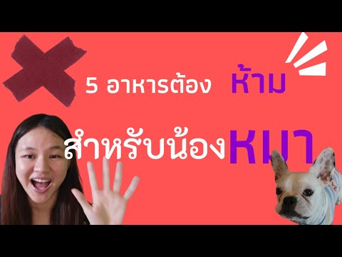 5 อาหารต้องห้ามสำหรับสุนัข น้องหมากินแล้วตายได้! |จอยกะหมา