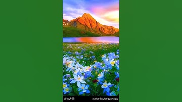 يا بني إسرائيل اذكروا نعمتي التي أنعمت عليكم وأوفوا بعهدي أوف -سورة البقرة آية 40 عبدالباسط عبدالصمد